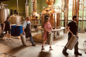 employees work in a brewery