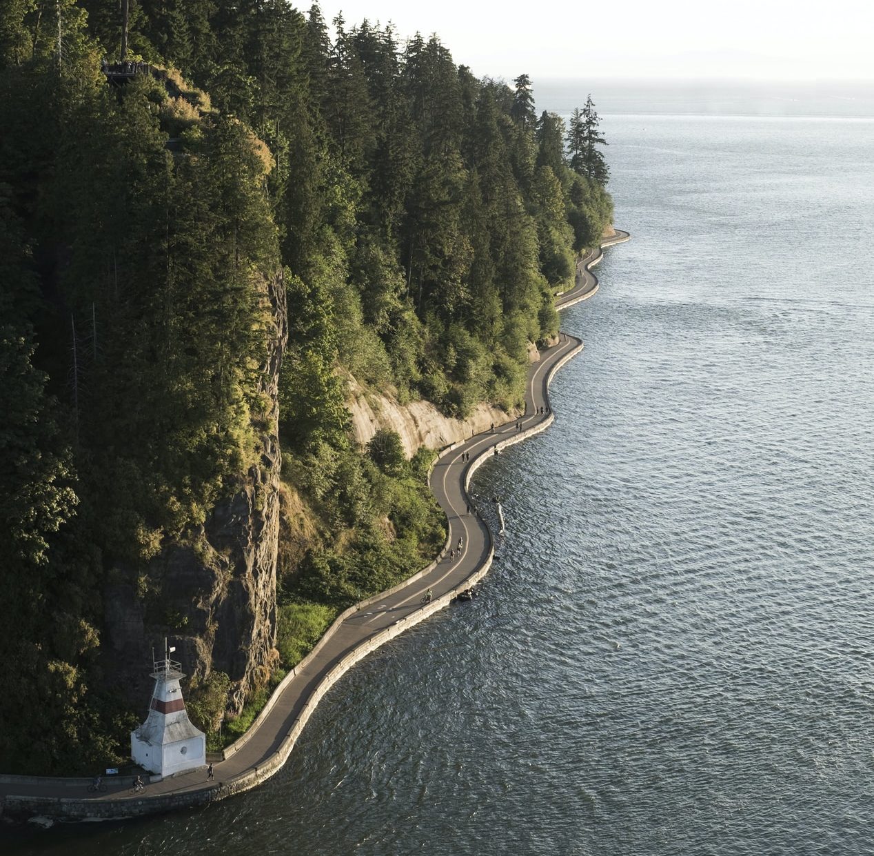 a pacific northwest coastline with green trees and ocean