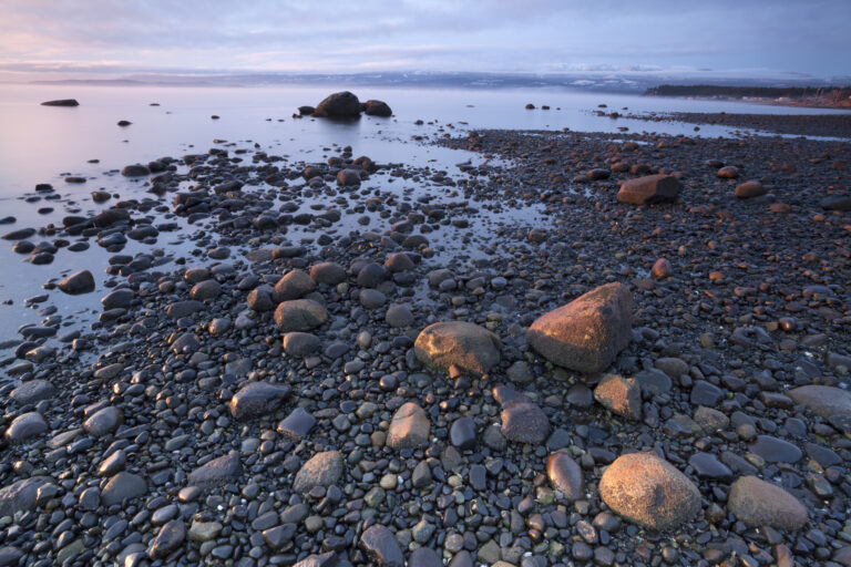 a photo of a rocky beach at low tide with purple and blue water, take in the Comox Valley of Vancouver Island